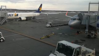 今年は雪が少なかったです