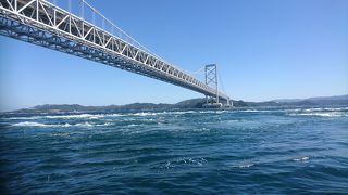 いろんな特徴の船があります。