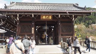 体内巡りは中止されていた