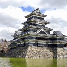 周辺の桜とともに楽しんだ