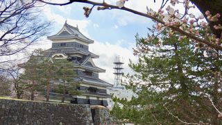 桜の見頃でした