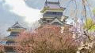 現在内部は非公開