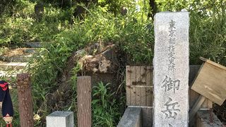 世田谷の古墳群の一つ、御嶽山古墳