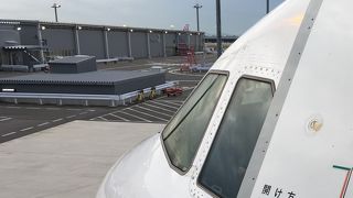 第二ターミナルの手荷物検査場は大混雑。