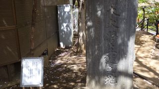 桜の花びらが彩りを添えていました