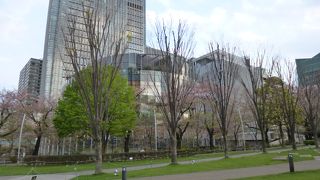 ポツンポツンと人がいました