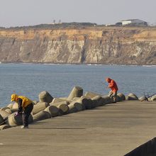 屏風ヶ浦の風景