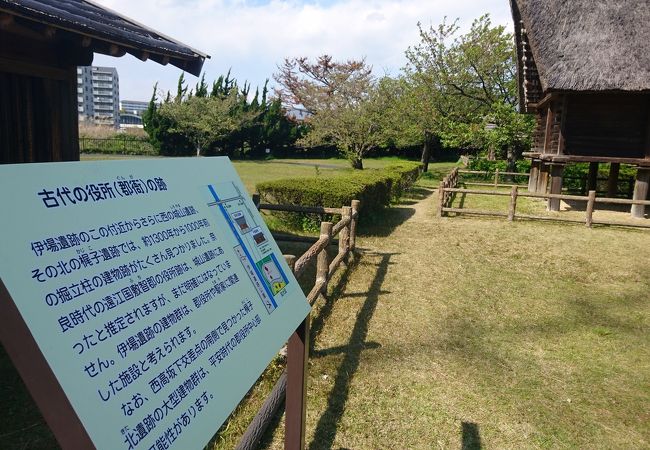 伊場遺跡公園 クチコミ アクセス 営業時間 浜松 フォートラベル 伊場遺跡公園 クチコミ アクセス 営業時間 浜松 フォートラベル