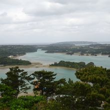 展望台からの景色