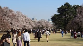 副都心とは思えない