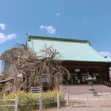 本堂が素晴らしい