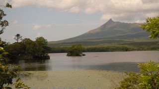 サイクリングがおすすめ