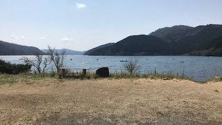 芦ノ湖の北側