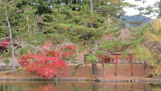 紅葉がきれいでした