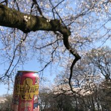 桜とビール♪