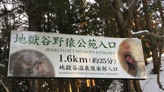 温泉にはいる猿が有名なところでした、道は凍っている箇所もあるので、滑りにくい靴がお勧め。