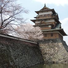 桜も見頃でした