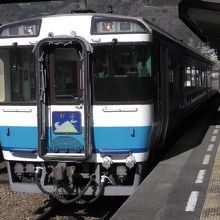 185系を使用し、2両編成が基本。