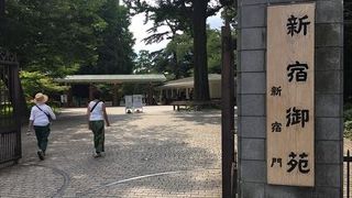 都会にあるオアシスでした、夏の時に行きまして、かもいましたが、素晴らしい景色は最高でした。