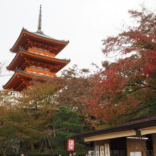 茶屋の前もお勧めです