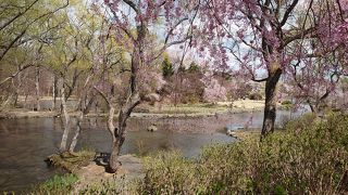 四季の里 緑水苑