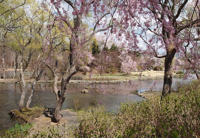 広大できれいに整えられた庭園