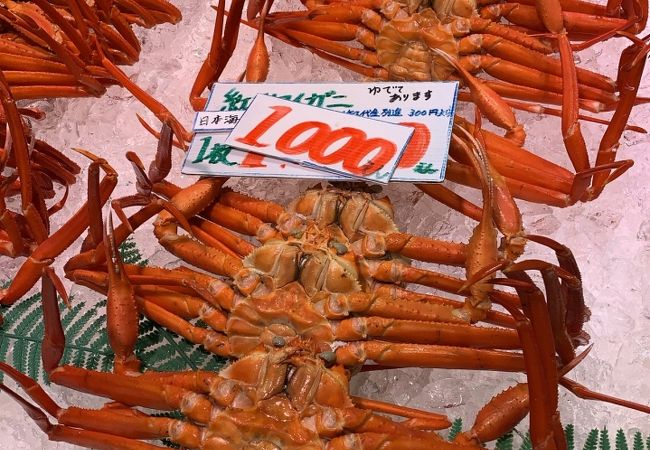 境港さかなセンター クチコミ アクセス 営業時間 境港 フォートラベル