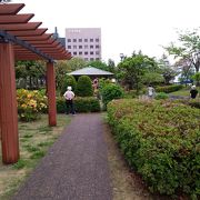 官庁に囲まれた中規模の公園