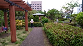 官庁に囲まれた中規模の公園