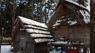 冬は寂しいね！