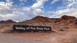 1億5000万年の歴史がすごい！