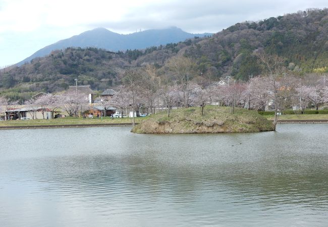 筑波山ふもとの桜の名所