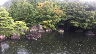 ザ、日本庭園！