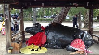 学問の神様です