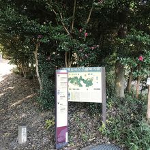 気持ちよく散策出来ます