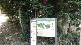 展望広場がおすすめです