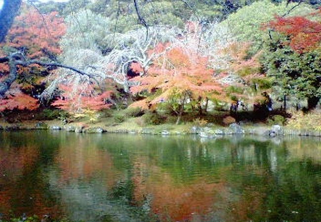 成田山公園紅葉まつり クチコミ アクセス 営業時間 成田 フォートラベル