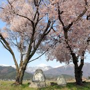 常念道祖神の脇に桜と常念岳が見えます