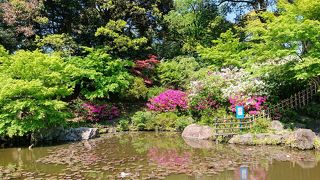 つつじが綺麗な日本庭園