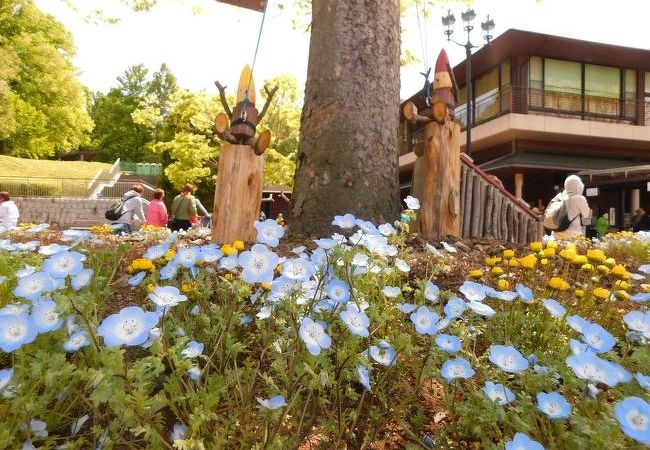 国営武蔵丘陵森林公園 クチコミ アクセス 営業時間 小川 嵐山 フォートラベル