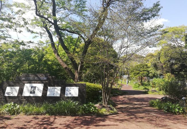 横浜市こども植物園 クチコミ アクセス 営業時間 東神奈川 保土ヶ谷 弘明寺 フォートラベル