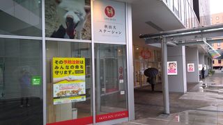 エリアなかいちにある「秋田犬ステーション」！
