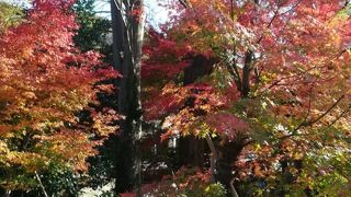 お手頃に登山できます