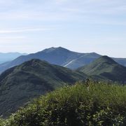 山ヤの虎の穴