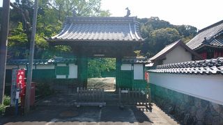 浮世絵のソテツも