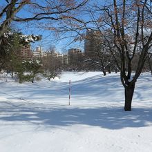 「菖蒲池」も雪で覆われ見えません