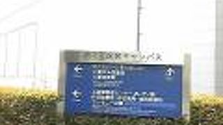 建物は閉まっています