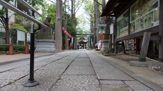 「疫病退散」祈願の鯉のぼりがはためく。