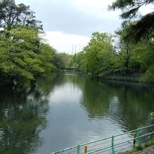 上流を望む。大雨時は上段の手すりまで湧水池が広がる。