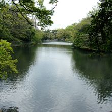 こちらは下流部分から上流を望む。